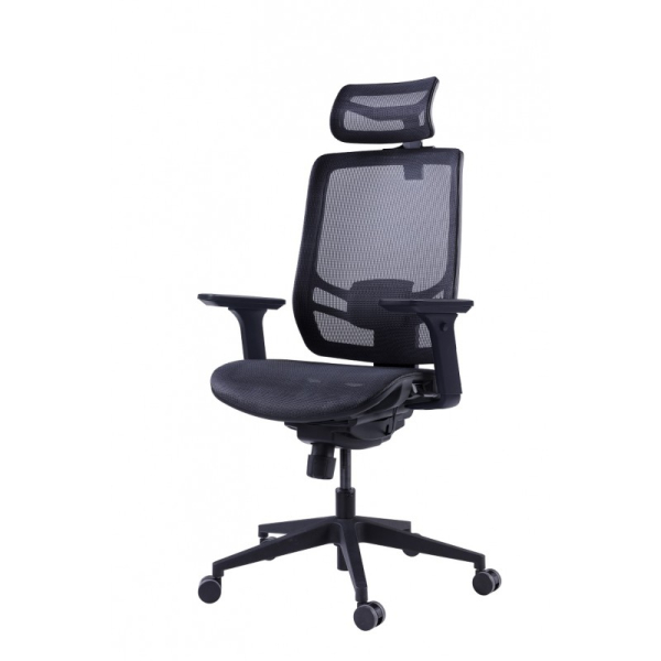 Купить Премиум эргономичное кресло GT Chair InFlex M, черный